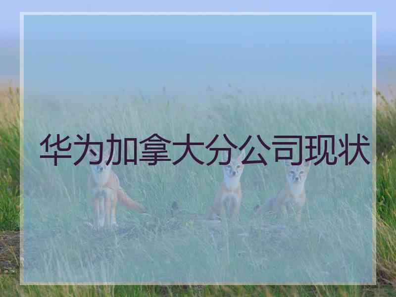 华为加拿大分公司现状