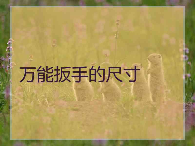 万能扳手的尺寸