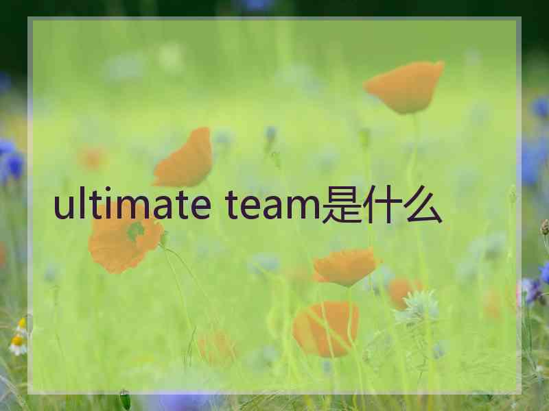 ultimate team是什么