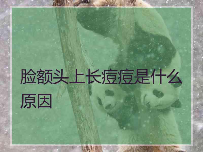 脸额头上长痘痘是什么原因