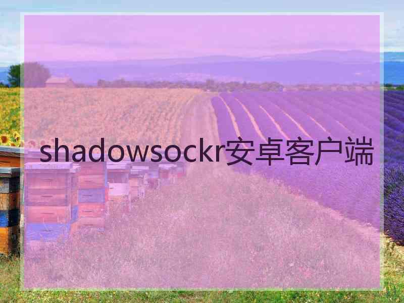 shadowsockr安卓客户端