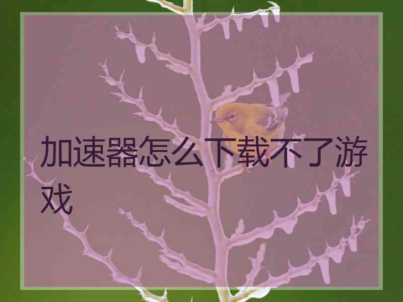 加速器怎么下载不了游戏