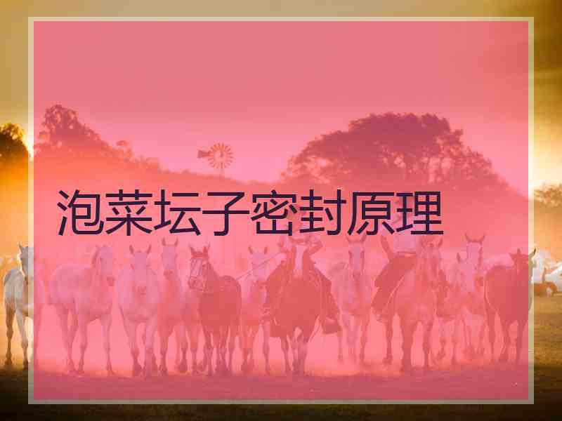 泡菜坛子密封原理