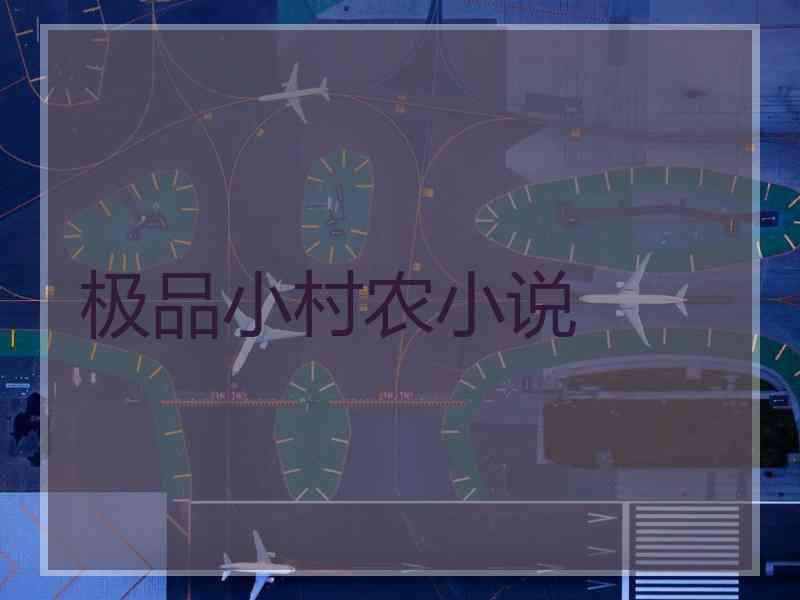 极品小村农小说