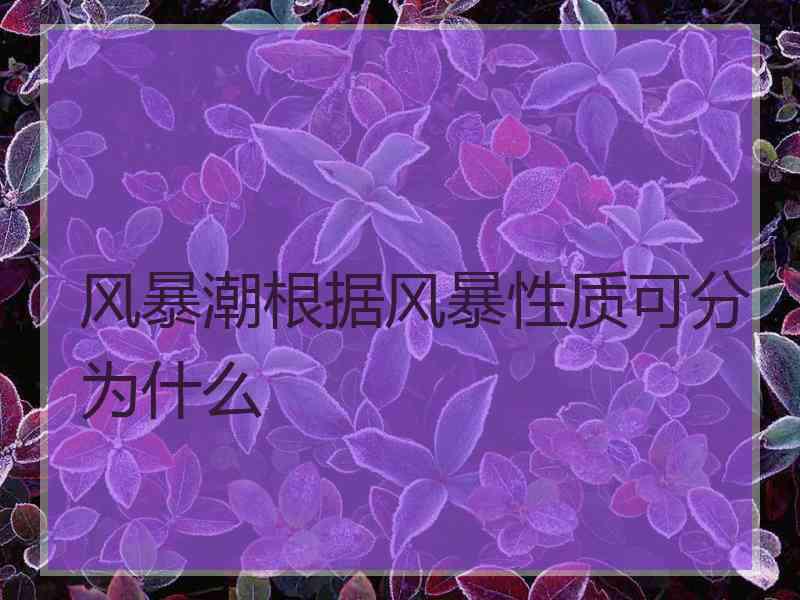 风暴潮根据风暴性质可分为什么