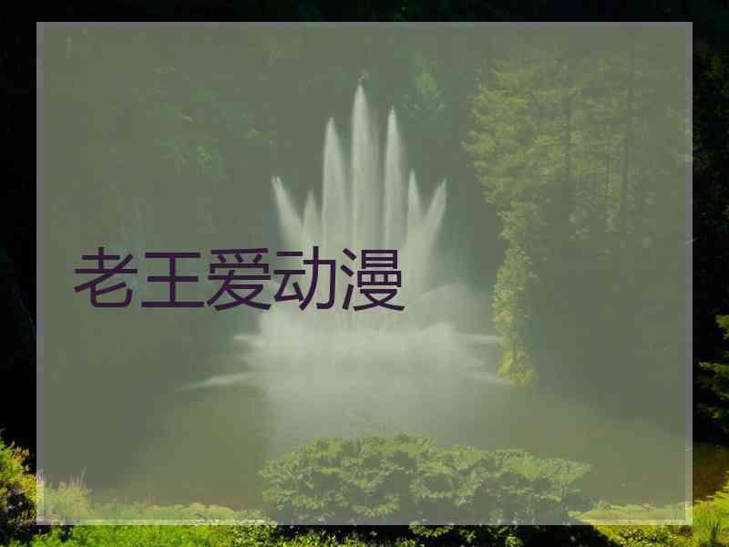 老王爱动漫