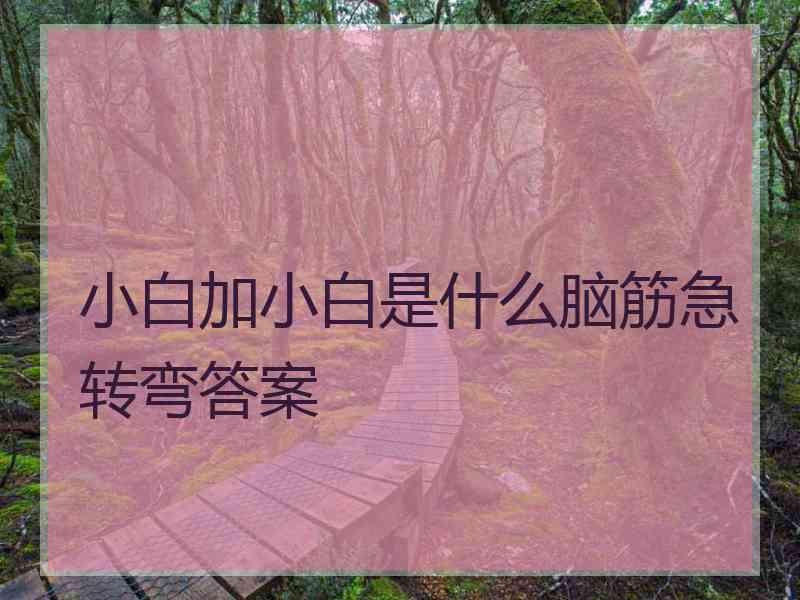 小白加小白是什么脑筋急转弯答案