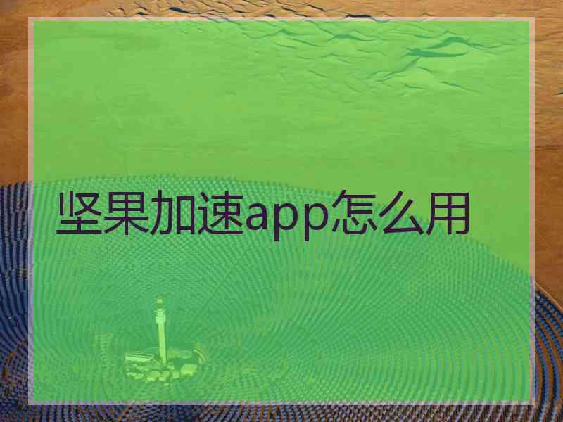 坚果加速app怎么用