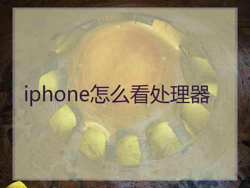 iphone怎么看处理器