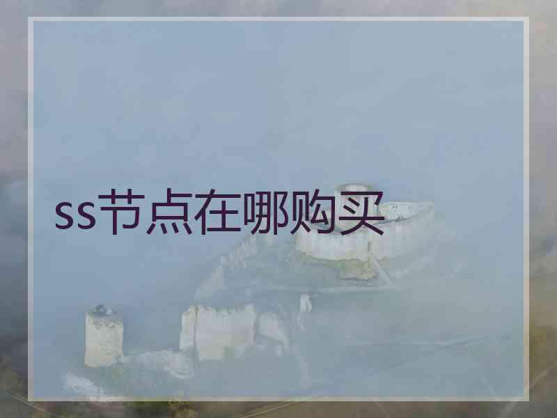ss节点在哪购买