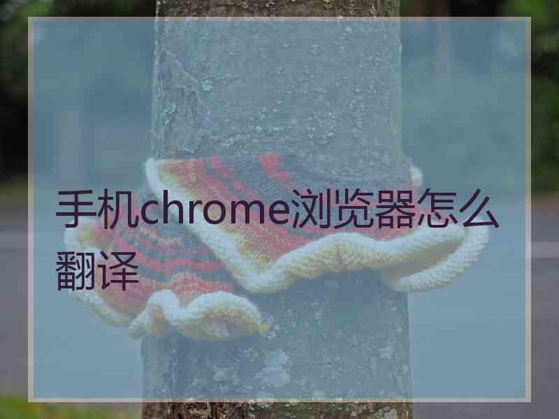 手机chrome浏览器怎么翻译