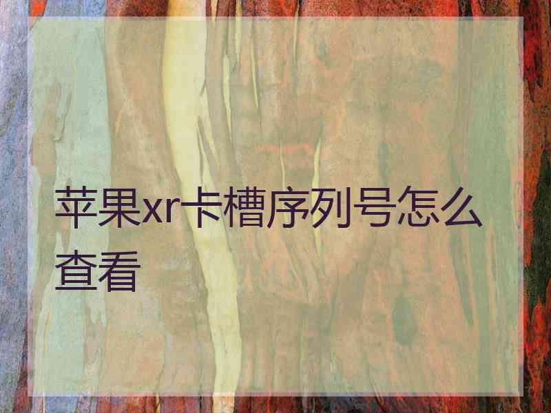 苹果xr卡槽序列号怎么查看