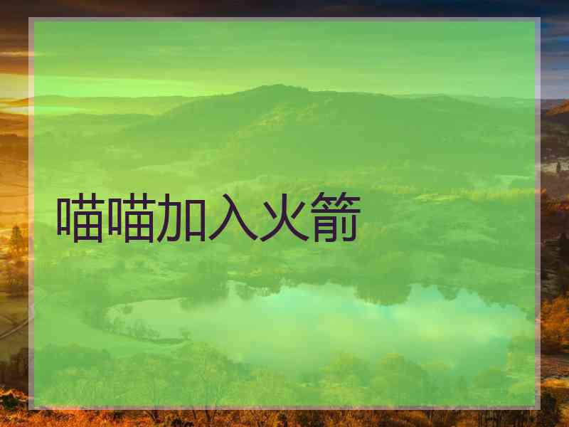 喵喵加入火箭