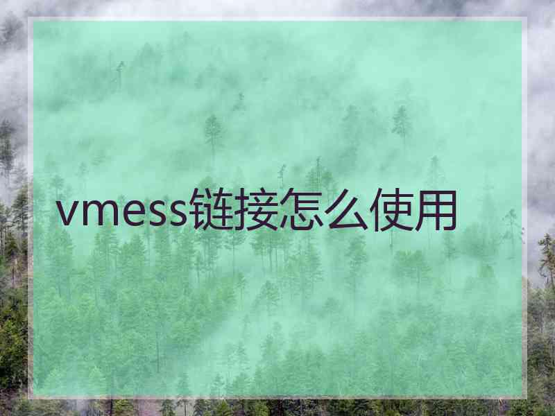 vmess链接怎么使用