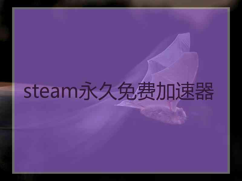 steam永久免费加速器
