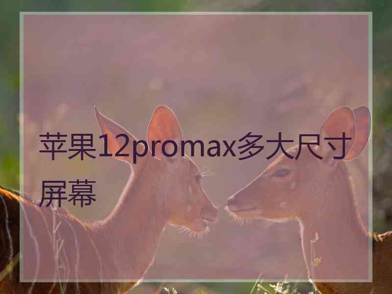 苹果12promax多大尺寸屏幕