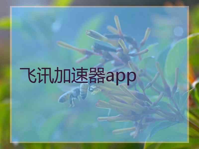 飞讯加速器app