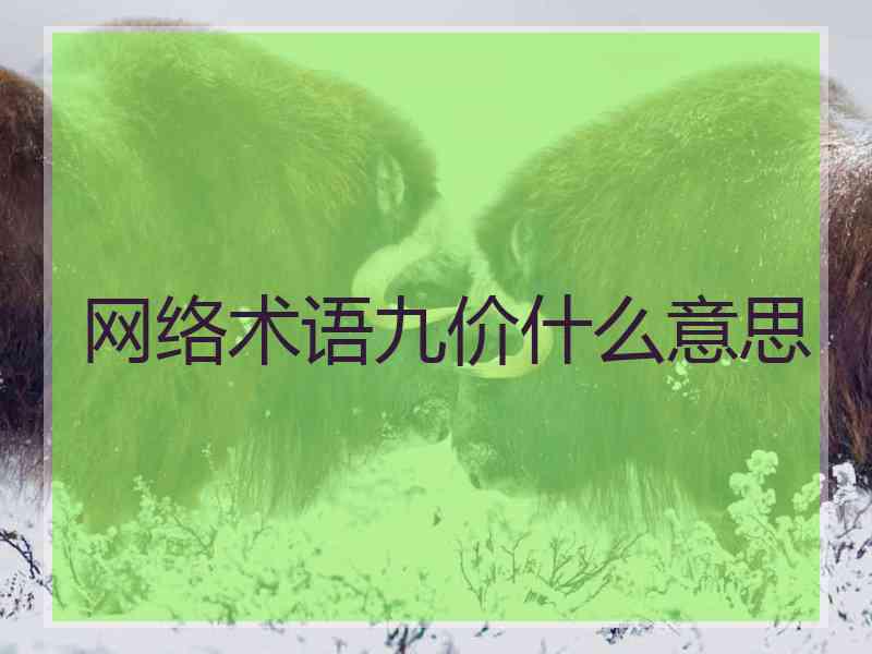 网络术语九价什么意思