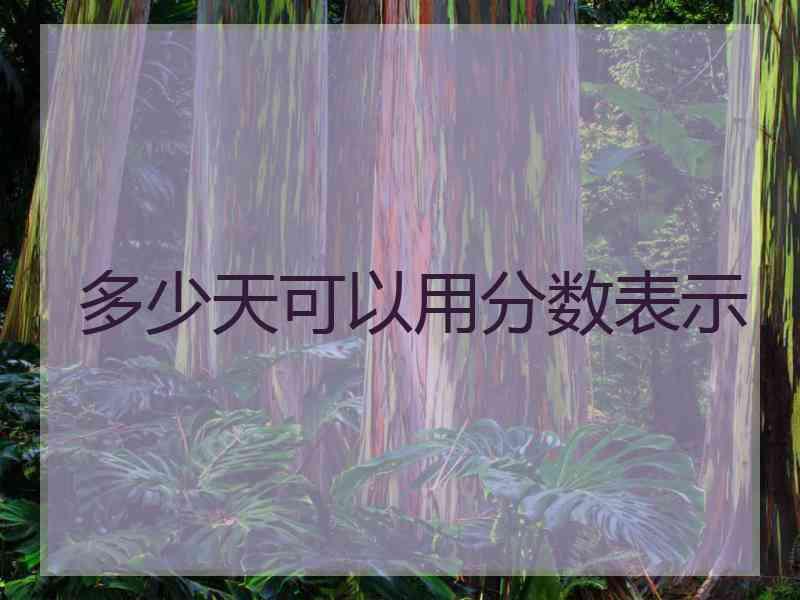多少天可以用分数表示