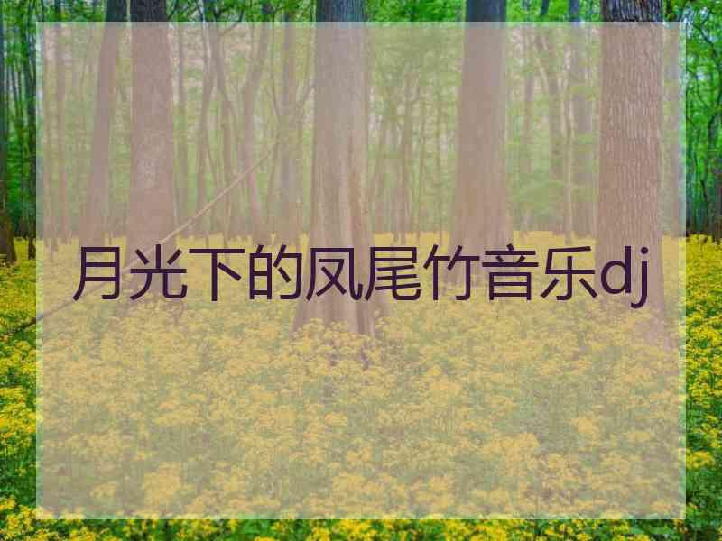月光下的凤尾竹音乐dj