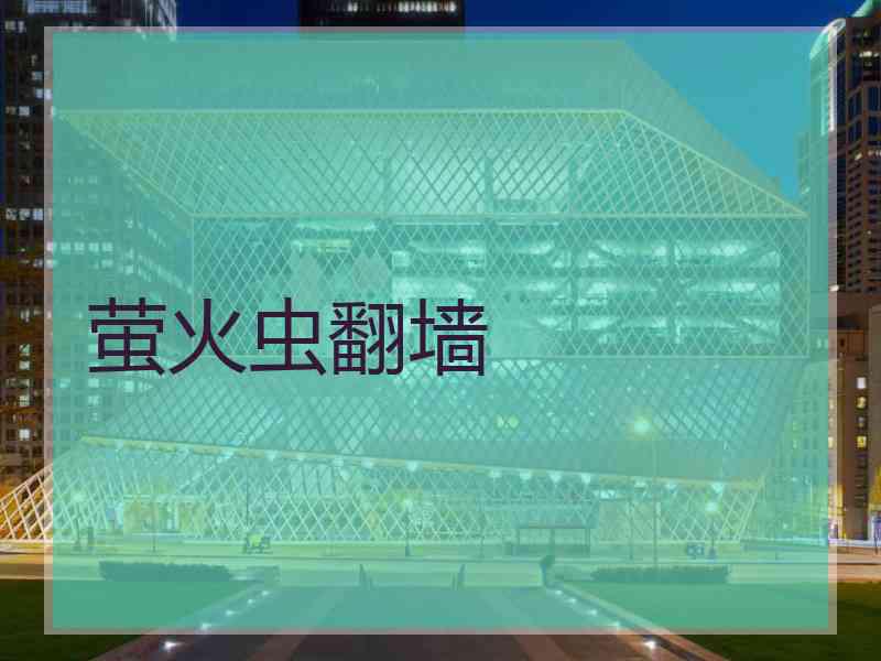 萤火虫翻墙
