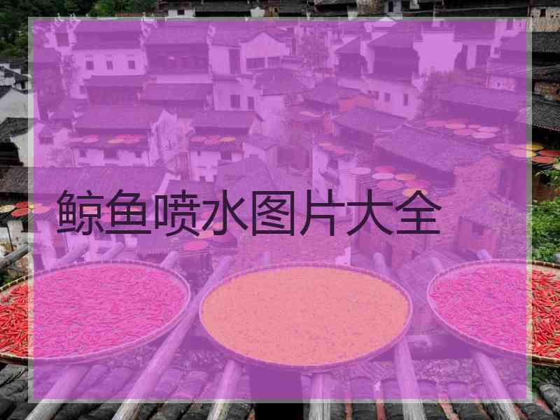 鲸鱼喷水图片大全