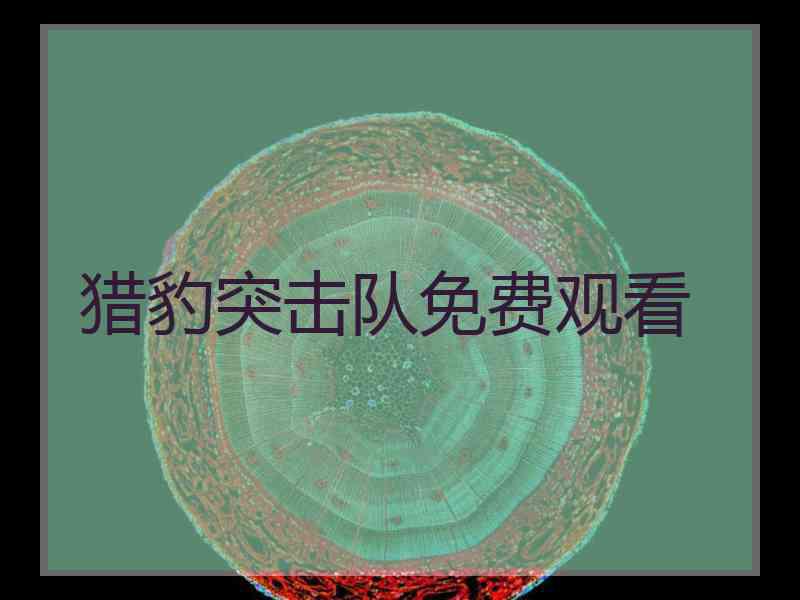 猎豹突击队免费观看
