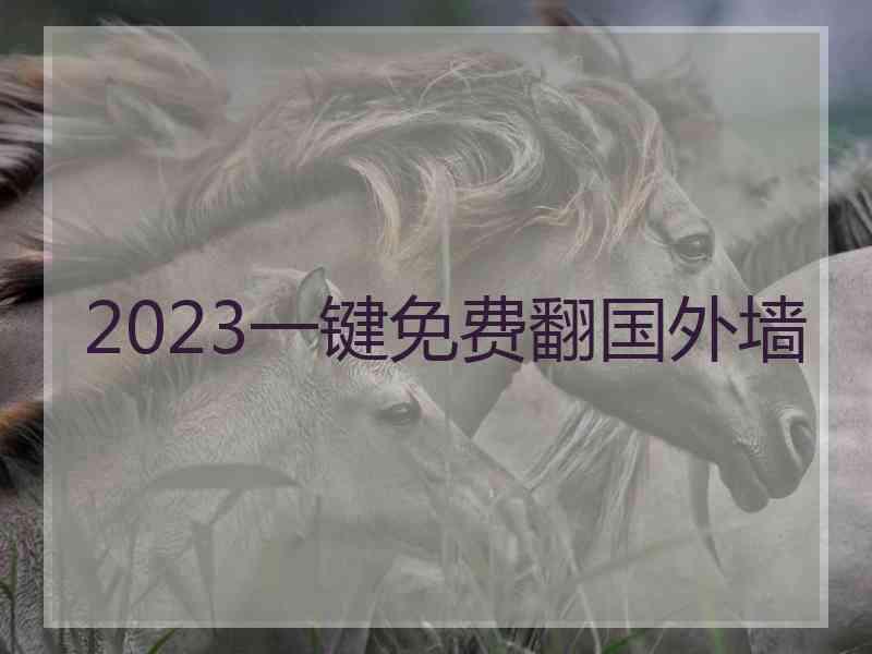 2023一键免费翻国外墙