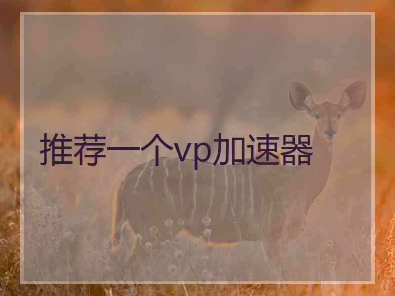 推荐一个vp加速器