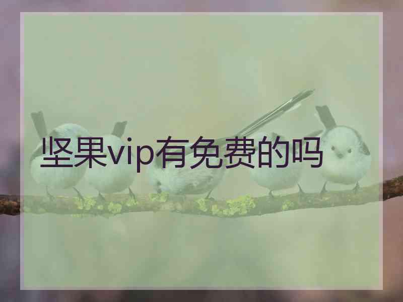 坚果vip有免费的吗