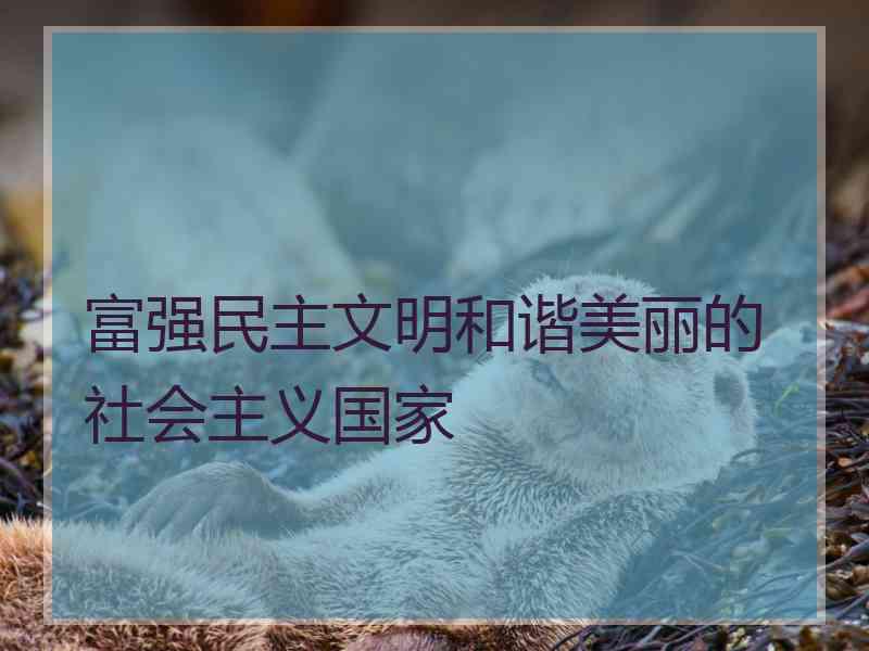 富强民主文明和谐美丽的社会主义国家