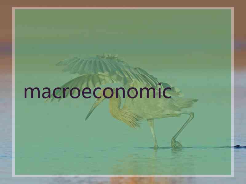 macroeconomic