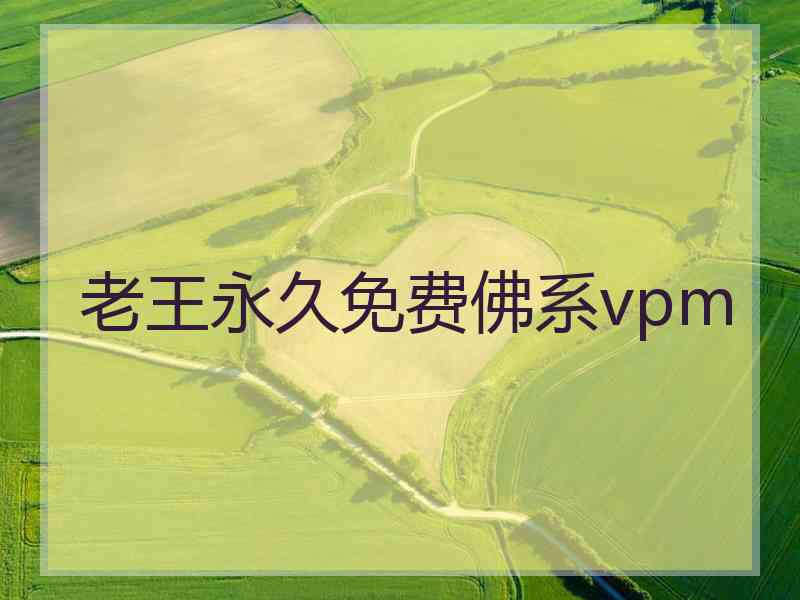 老王永久免费佛系vpm