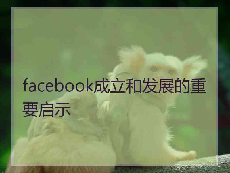 facebook成立和发展的重要启示