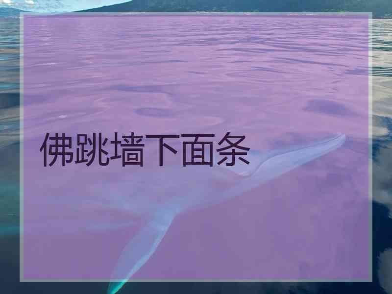 佛跳墙下面条