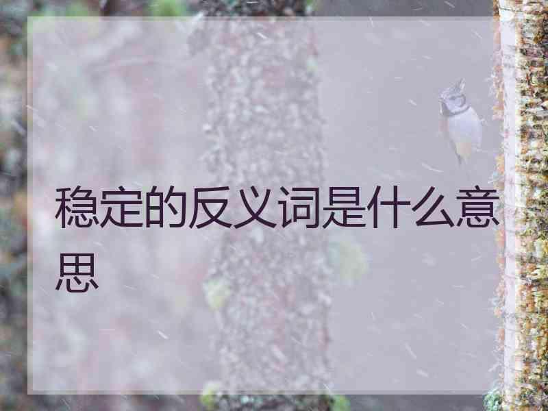 稳定的反义词是什么意思