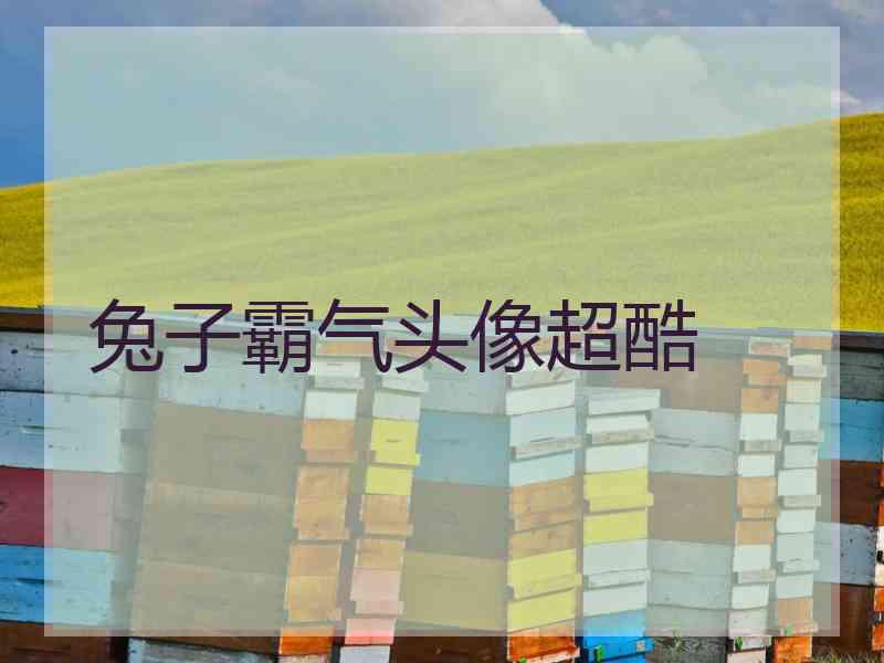 兔子霸气头像超酷