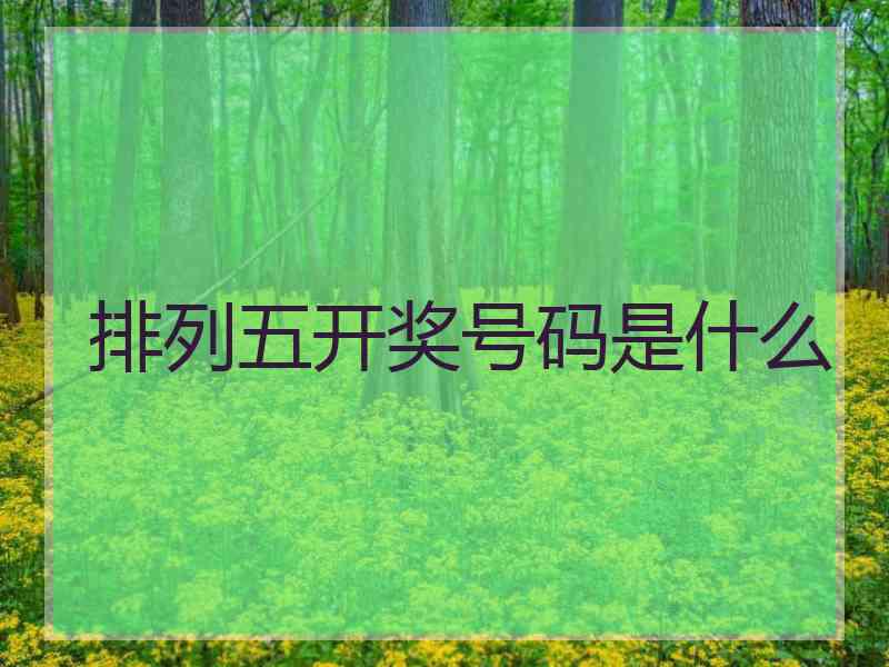 排列五开奖号码是什么