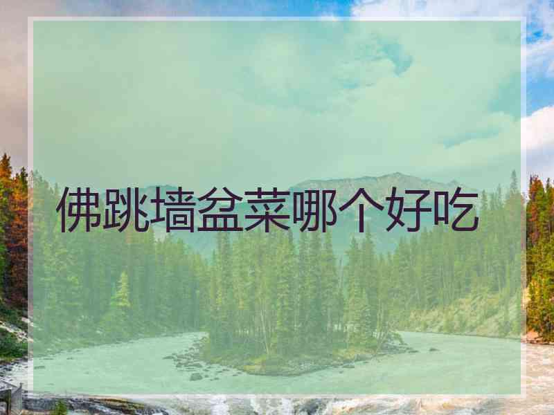 佛跳墙盆菜哪个好吃
