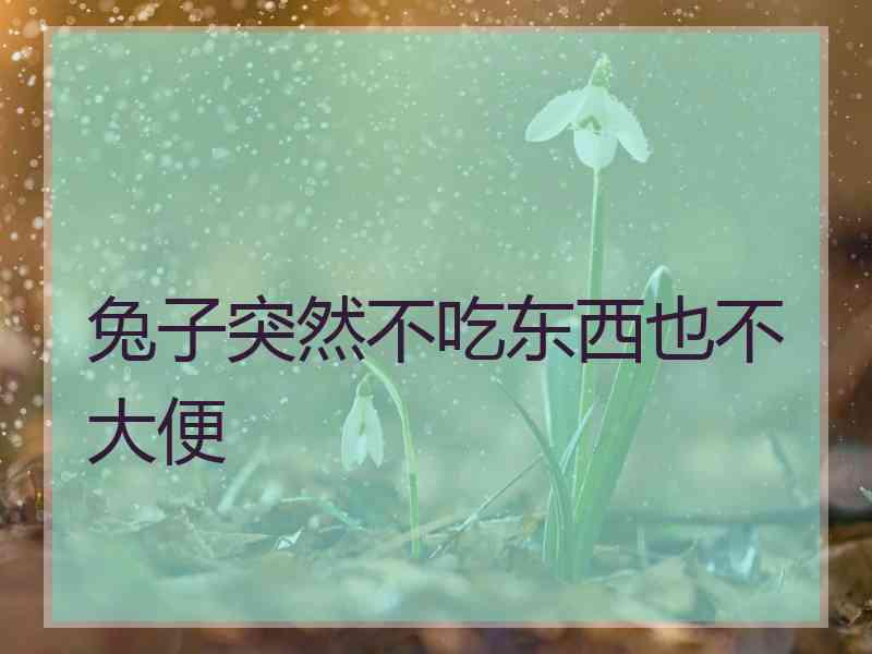 兔子突然不吃东西也不大便