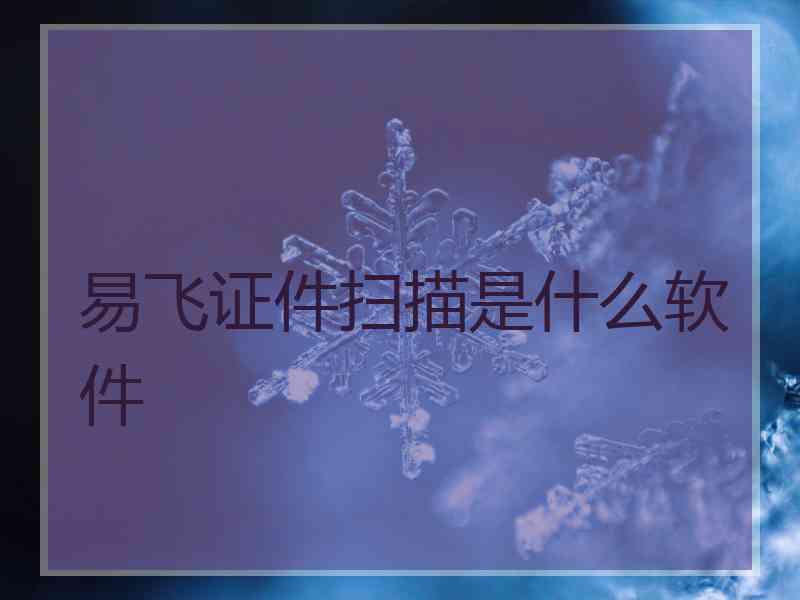 易飞证件扫描是什么软件