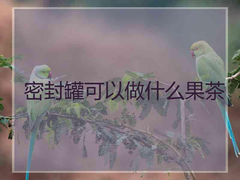 密封罐可以做什么果茶