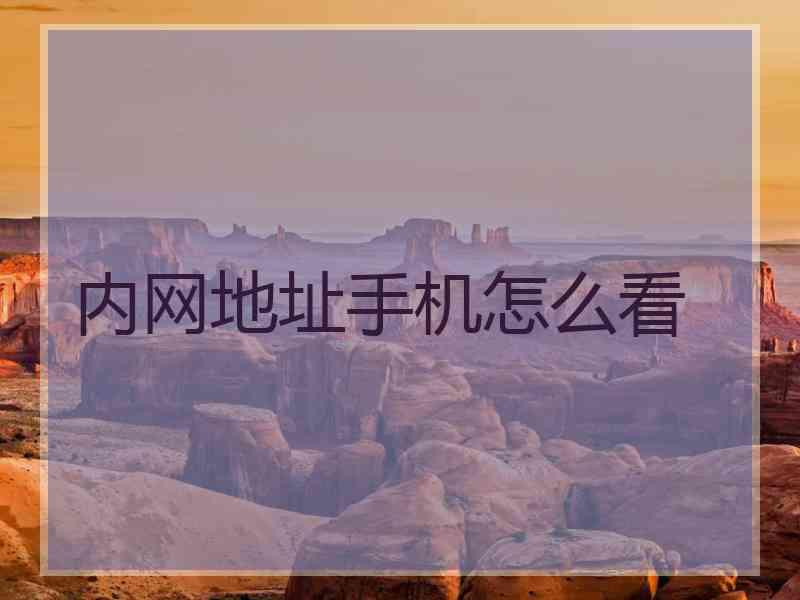 内网地址手机怎么看
