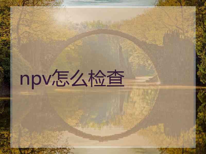 npv怎么检查