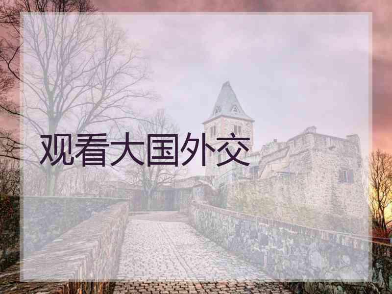 观看大国外交