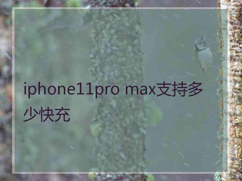 iphone11pro max支持多少快充