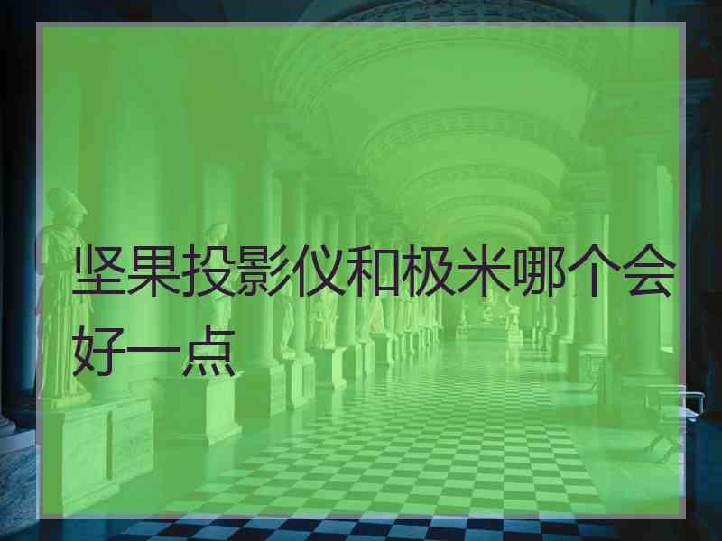 坚果投影仪和极米哪个会好一点