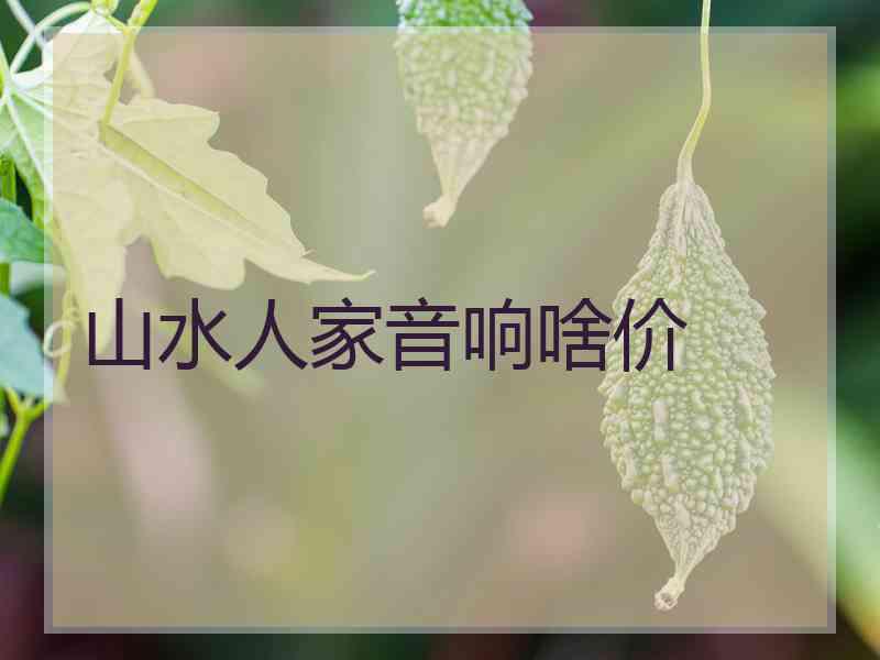 山水人家音响啥价