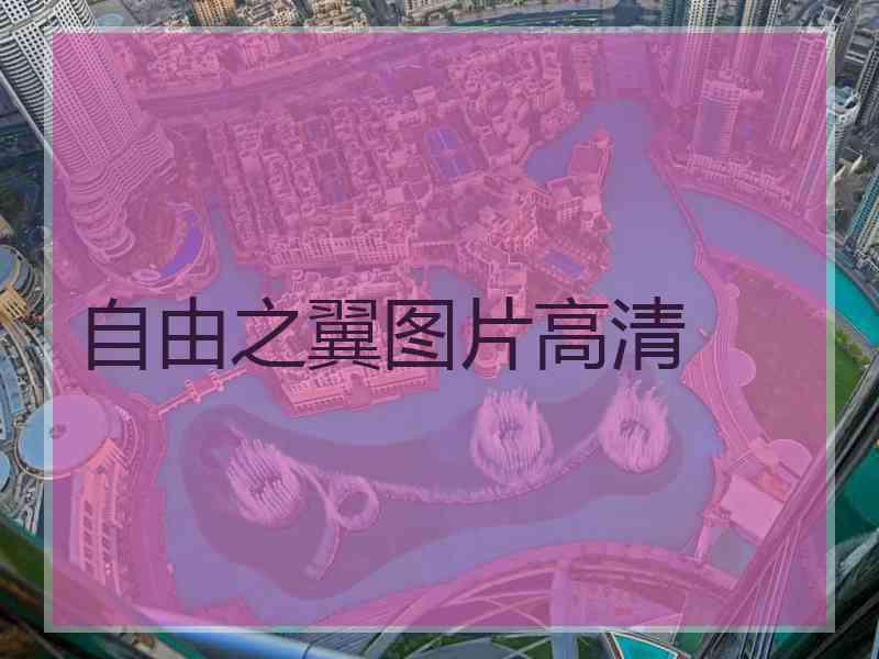 自由之翼图片高清