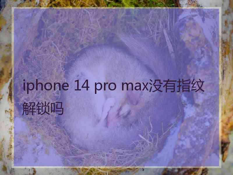iphone 14 pro max没有指纹解锁吗